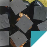 Study abroad with WSB